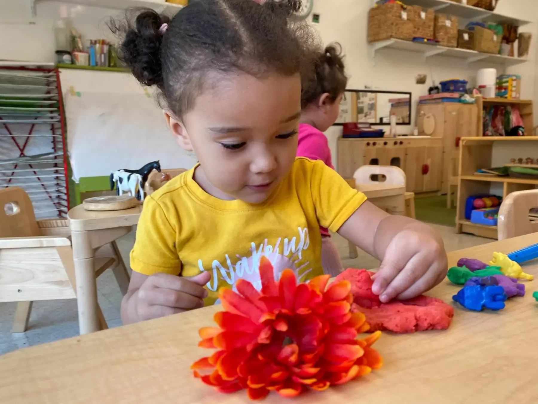 A young child working carefully on a playdough project with a bright red flower in the Bigelow classroom