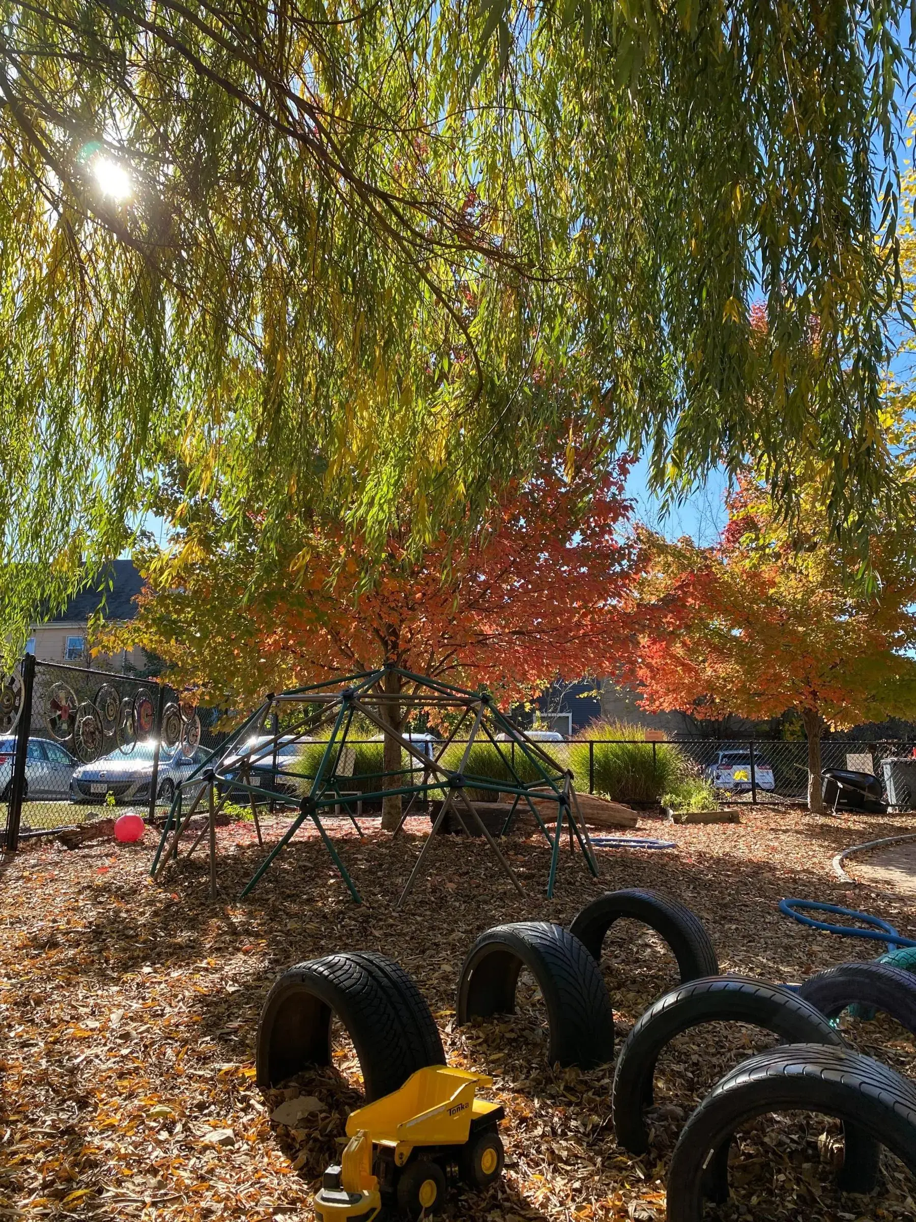 Bigelow's outdoor playground in autumn — a geodome climber beneath colorful maple and willow trees